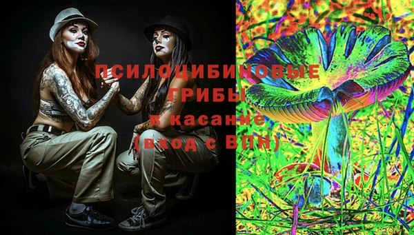 Альфа ПВП Осташков