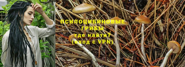 Альфа ПВП Осташков