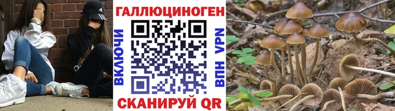 Псилоцибиновые грибы Magic Shrooms хочу наркоту Опочка