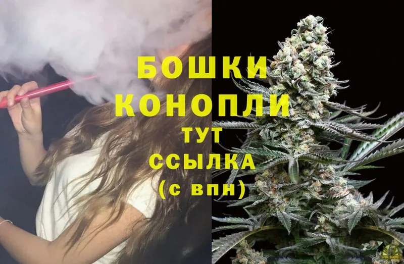 Бошки Шишки Ganja  Опочка 